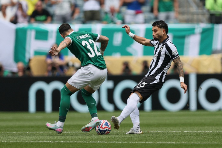 Palmeiras - Botafogo (hiệp 1) 0-0: Palmeiras kiểm soát cuộc chơi - Ảnh 1.
