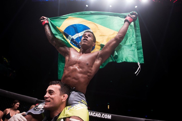 Brazil - Ảnh 1.