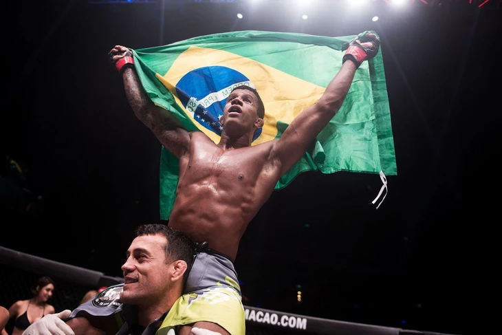 Brazil - Ảnh 1.