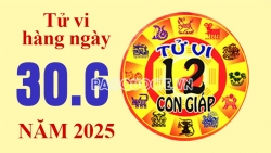 Tử vi hôm nay, xem tử vi 12 con giáp hôm nay ngày 30/6/2025: Tuổi Dần sự nghiệp khó khăn